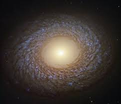 IV AGN & GL Conference