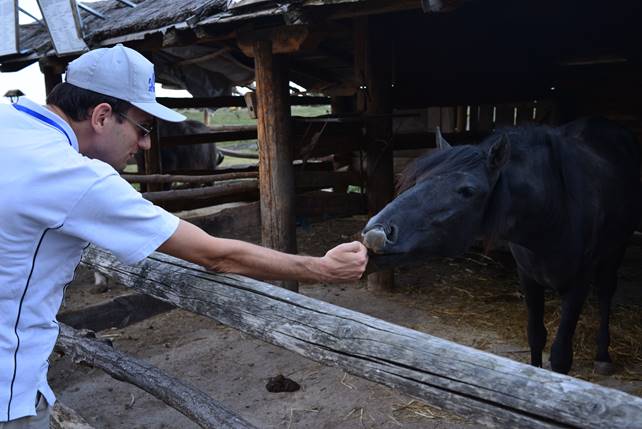 A person feeding a cow through a fence

Description generated with high confidence