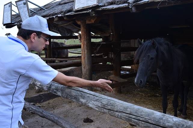 A person petting a horse

Description generated with high confidence