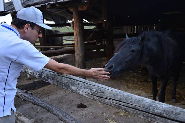 A person petting a cow

Description generated with high confidence