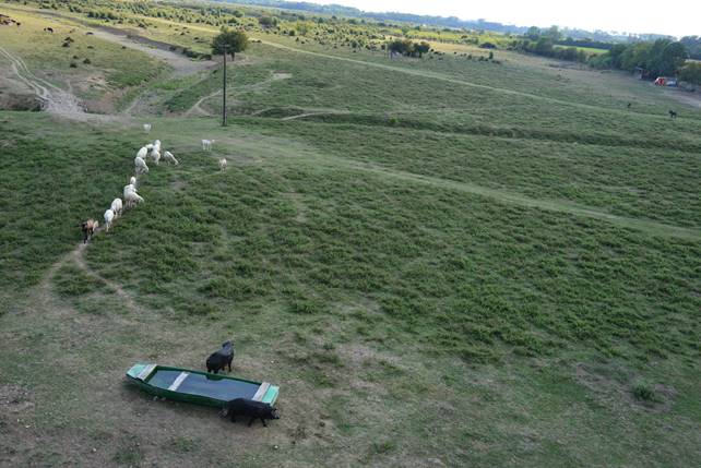 A group of people in a grassy field

Description generated with high confidence