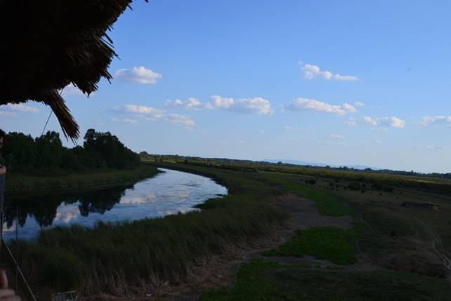 A river running through a field

Description generated with very high confidence