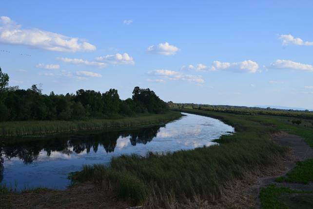 A river running through a body of water

Description generated with very high confidence