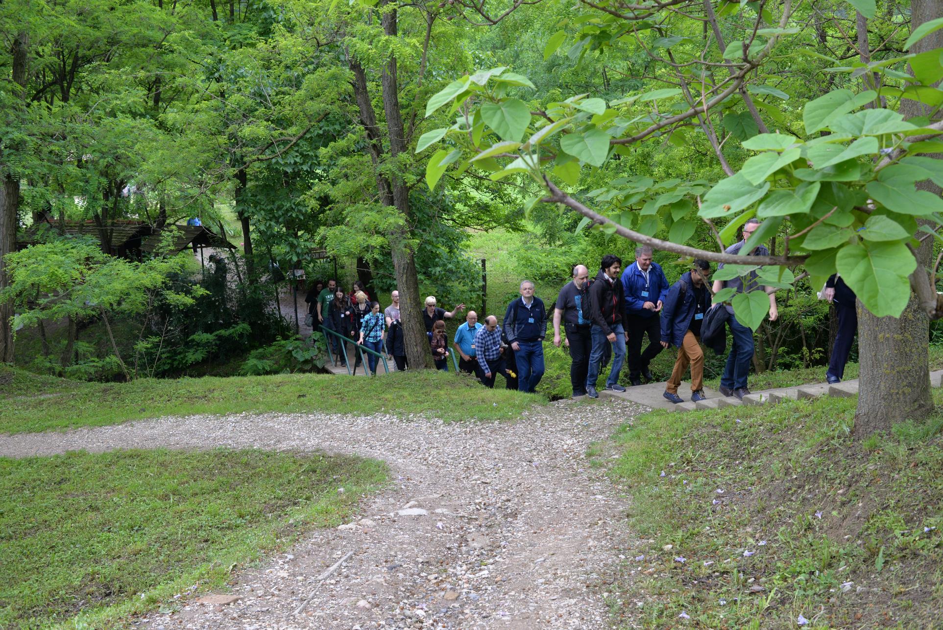 A group of people walking down a dirt path next to a tree

Description automatically generated