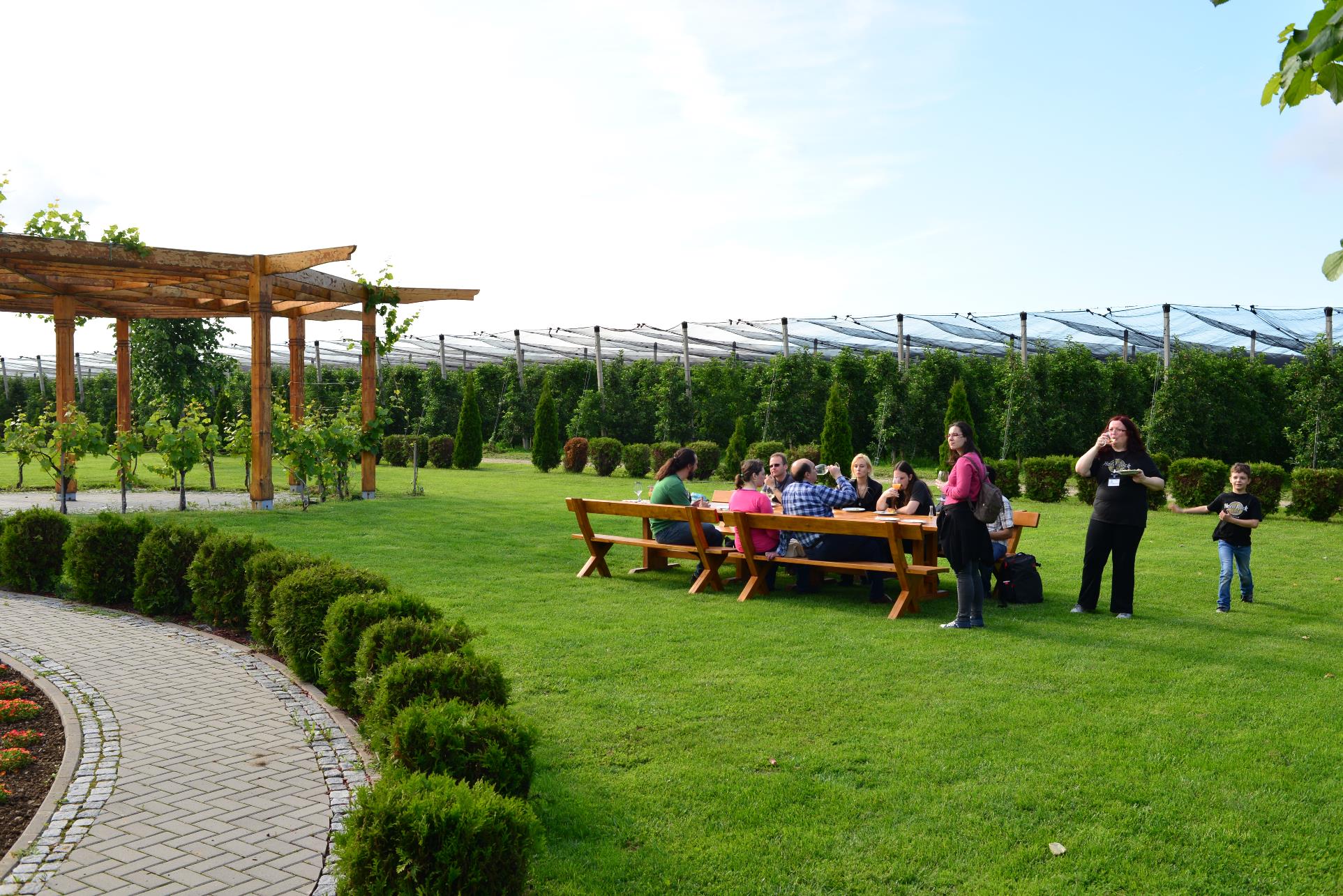 A group of lawn chairs sitting on top of a grass covered field

Description automatically generated